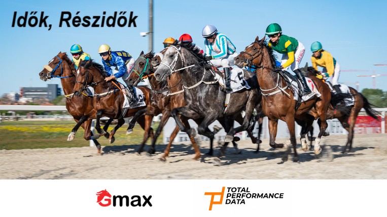 TPDGmaxbanner